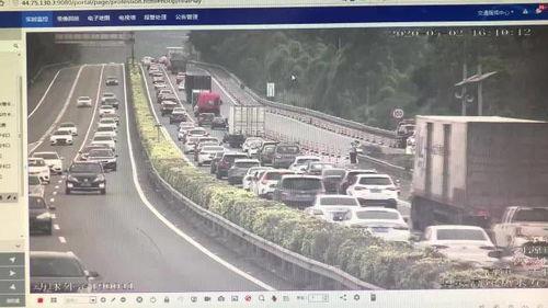 河源爆料新闻最新情况,揭秘神秘事件背后的真相  第3张